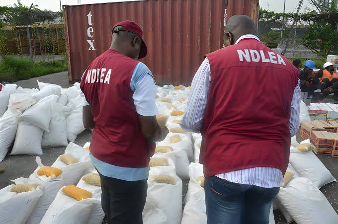 NDLEA Intercepts Codeine Shipment From India, US And UK-Bound Opioids In Women’s Hair